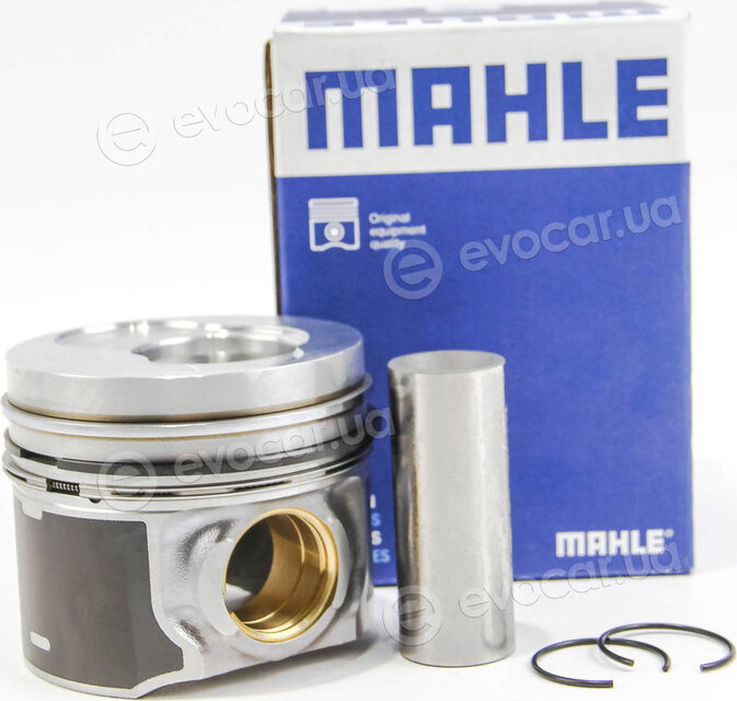 Mahle 030 97 00