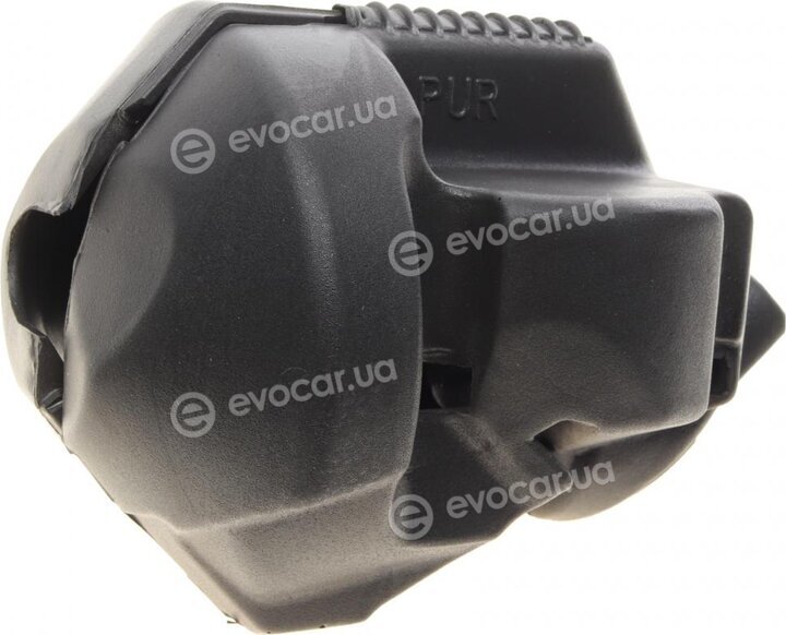 AIC 55031