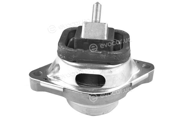Tedgum TED67295