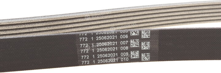 Continental 6PK2196