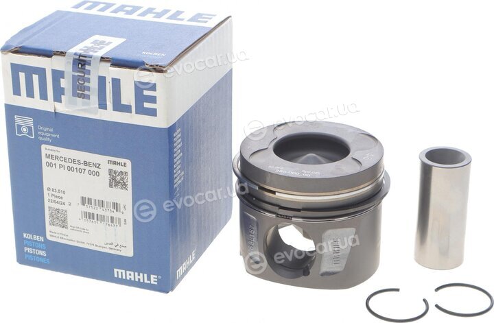 Mahle 001 PI 00107 000