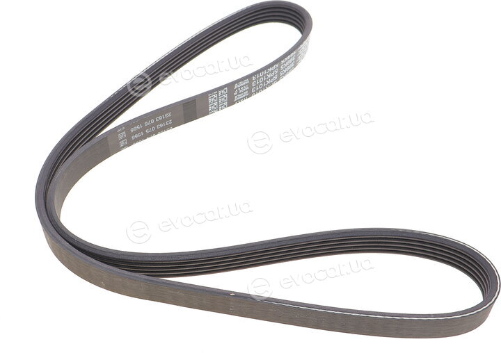 Dayco 5PK1013