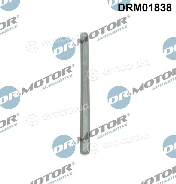 Dr. Motor DRM01838