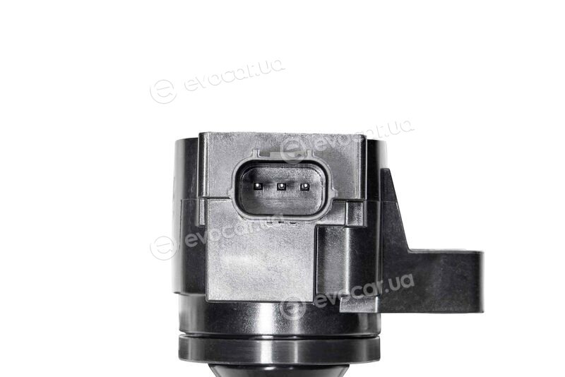 Beru ZSE296