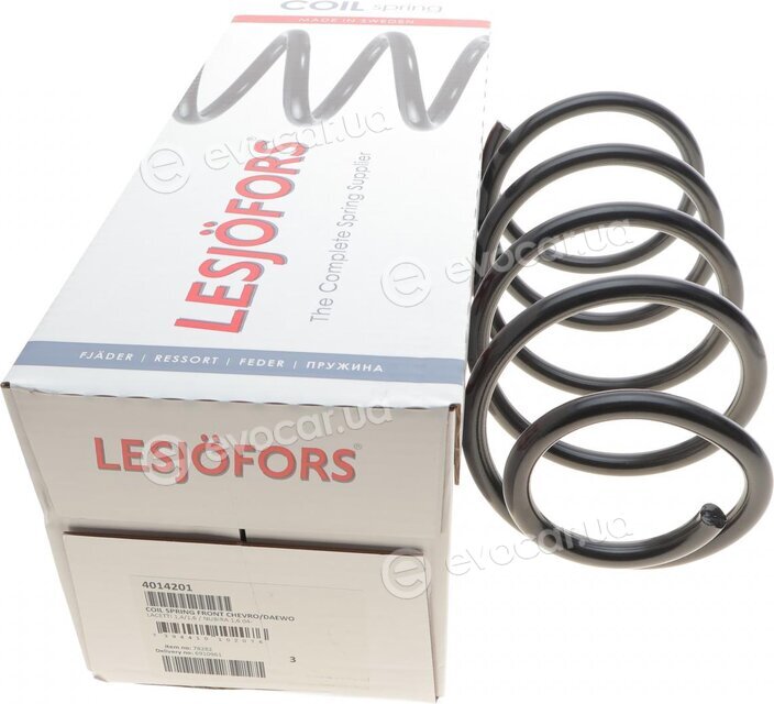 Lesjofors 4014201