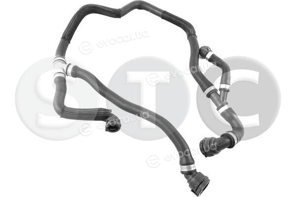 Metalcaucho / STC T499283