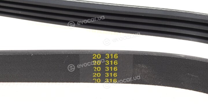 Hutchinson 1183 K 4