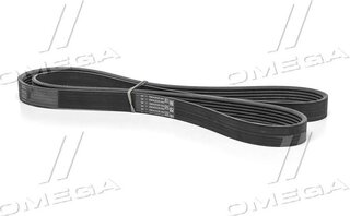 SKF VKMV 6PK1548