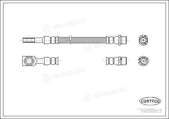 Corteco 19026813
