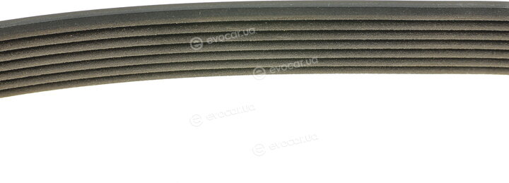 Dayco 7PK1750