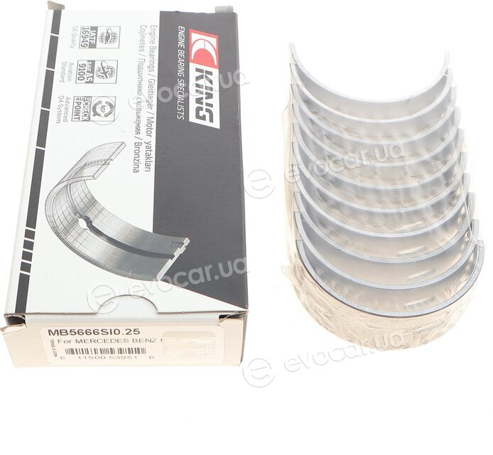 King MB5666SI0.25