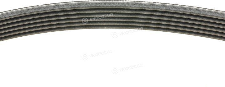 Continental 6PK1830