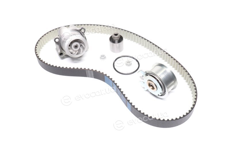 Dayco KTBWP2964