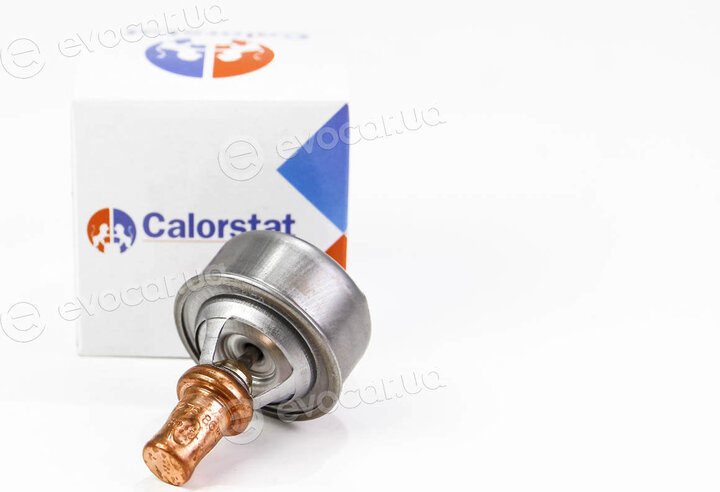 Vernet / Calorstat TH4495.86