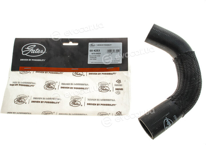 Gates 05-4253