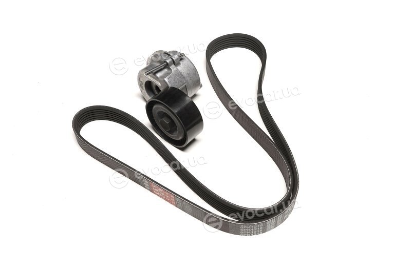 Gates K036PK1218