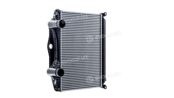 Mahle CI 123 000P