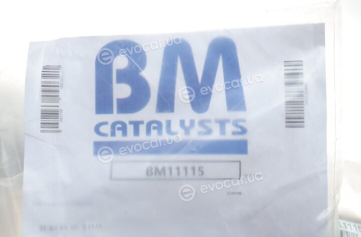 BM Catalysts BM11115