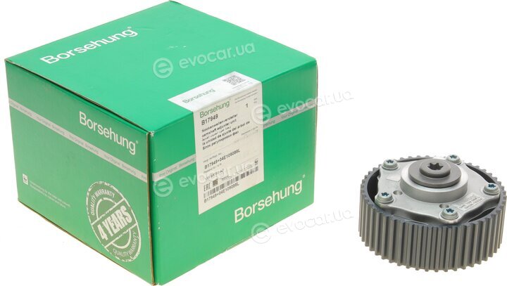Borsehung B17949