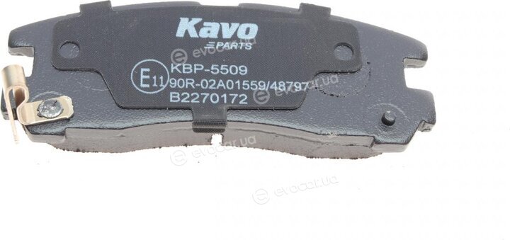 Kavo KBP-5509