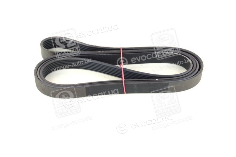 Dayco 7PK2535