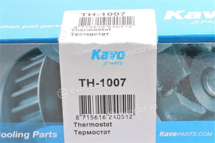 Kavo TH-1007