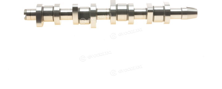 Borsehung B11306