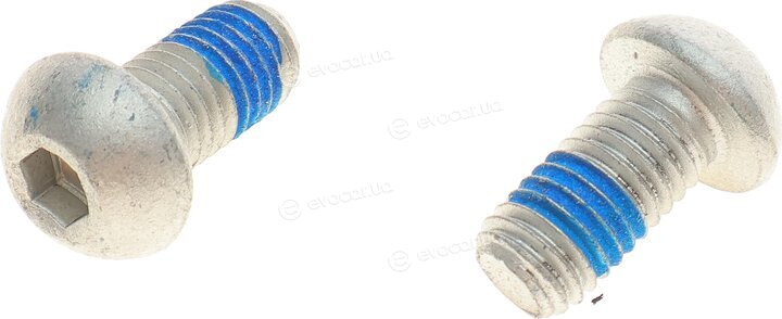 Solgy 203130