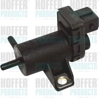 Hoffer 8029249
