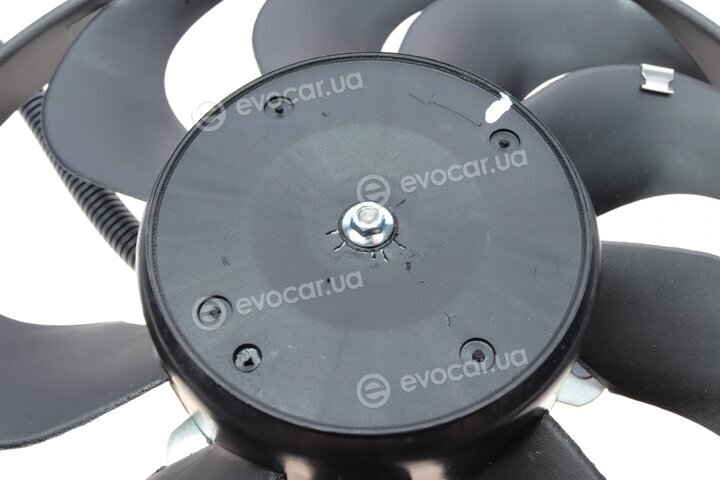 AIC 50843