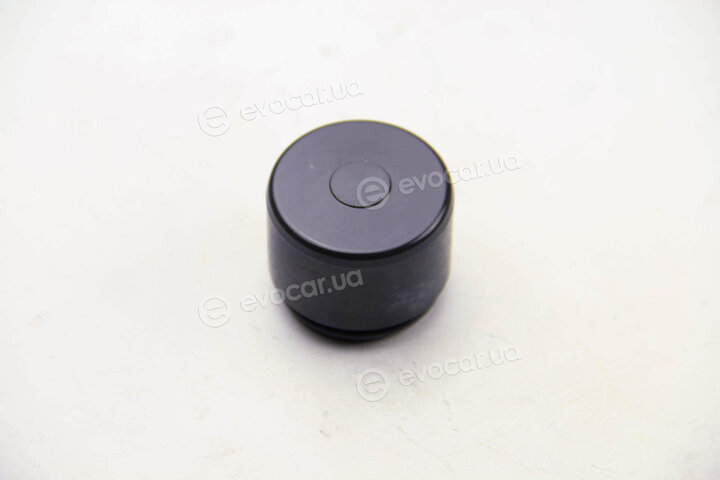 Autofren D025616