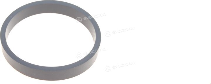 Elring 546.080