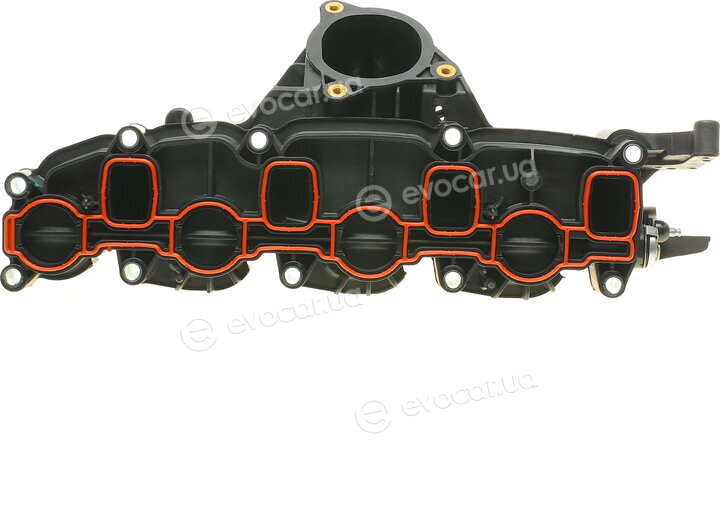 AIC 58238