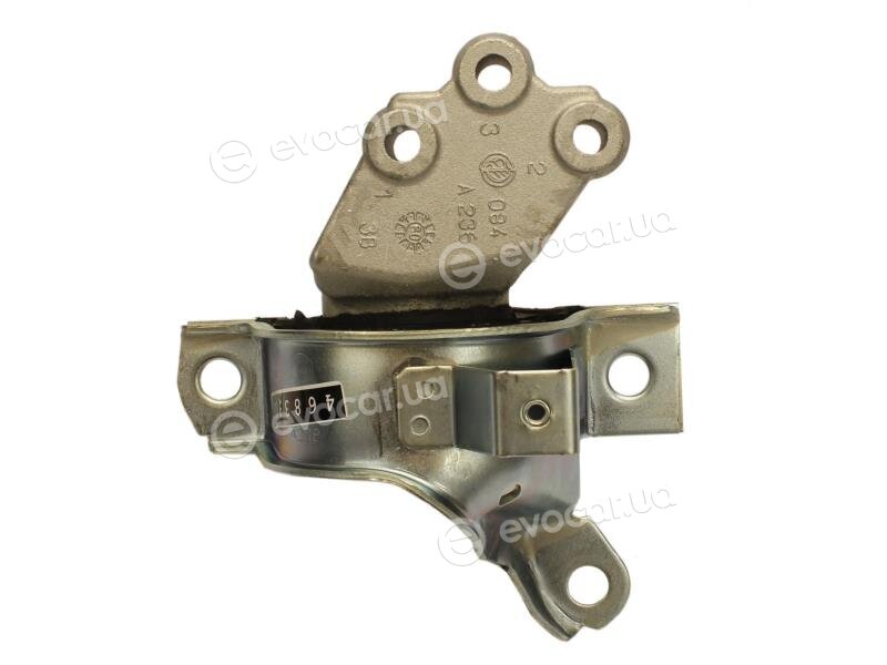 Starline SM 0769