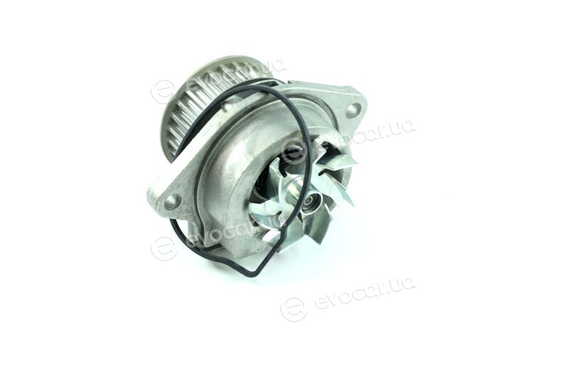 Metelli 24-0674
