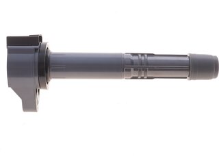 Beru ZSE308