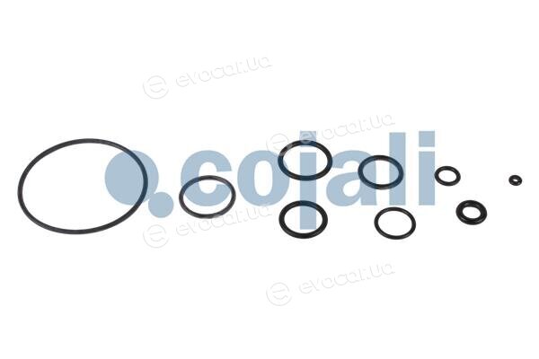 Cojali 6034009