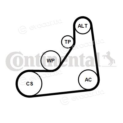 Continental 6PK1153K5