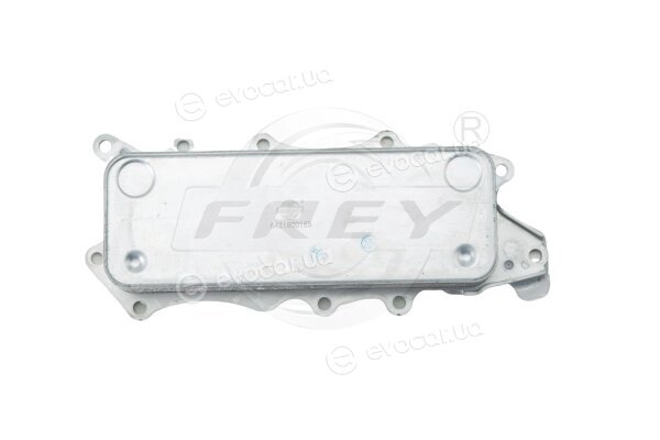 Frey 784708101