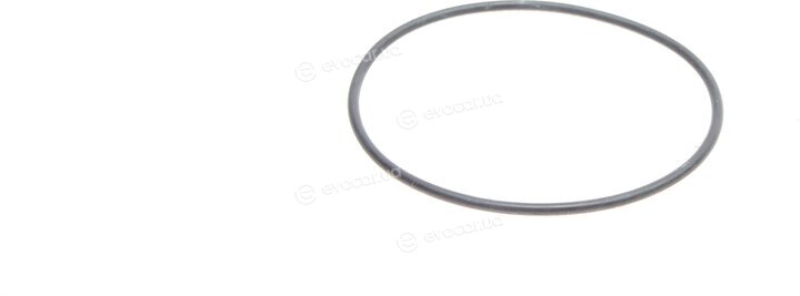 Hepu P1573