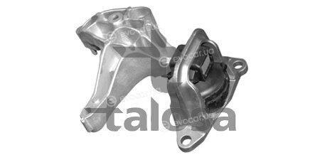 Talosa 61-05181