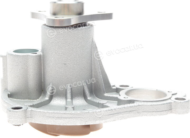 Hepu P439