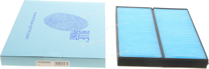 Blue Print ADG02556
