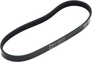 Continental 4PK592 ELAST