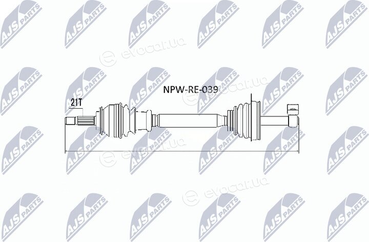 NTY NPW-RE-039