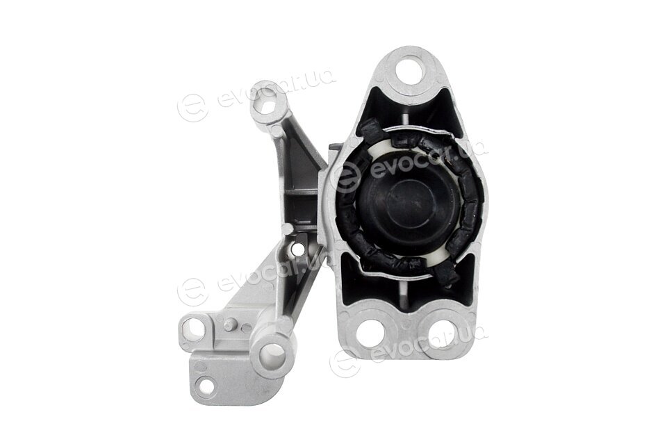NTY ZPS-RE-008