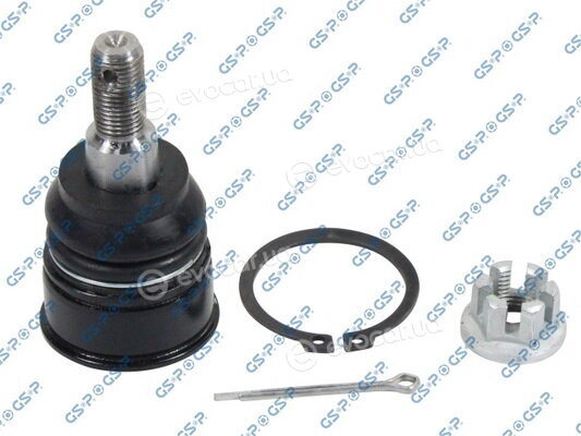 GSP S080079
