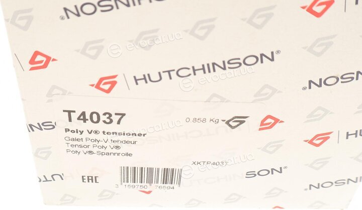 Hutchinson T4037