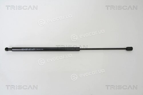 Triscan 8710 43217
