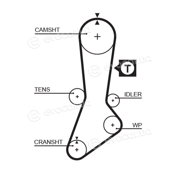 Gates K015317XS